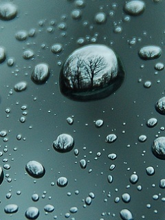 Water_Drops.jpg